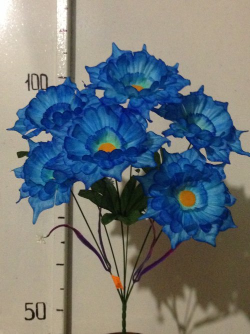 Далия калинка