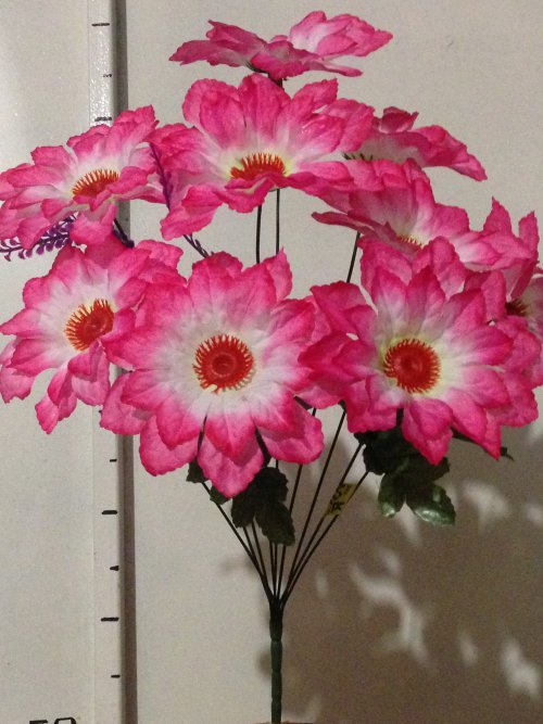 Гербера новая - 9 - B53