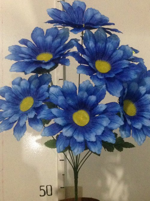 Дубок новый С-202