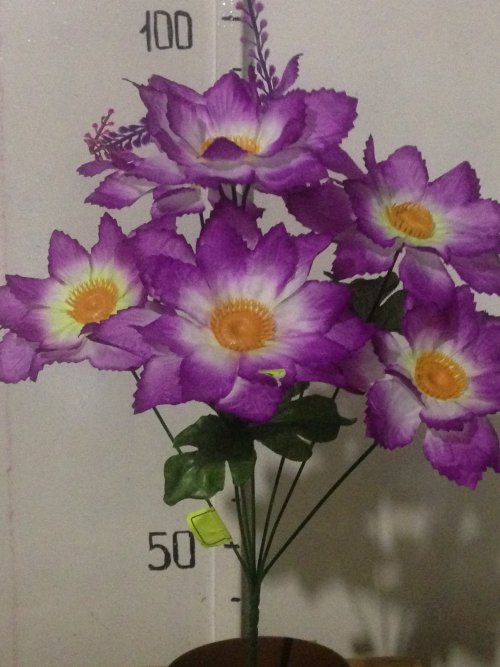 Лотос волнистый С-212