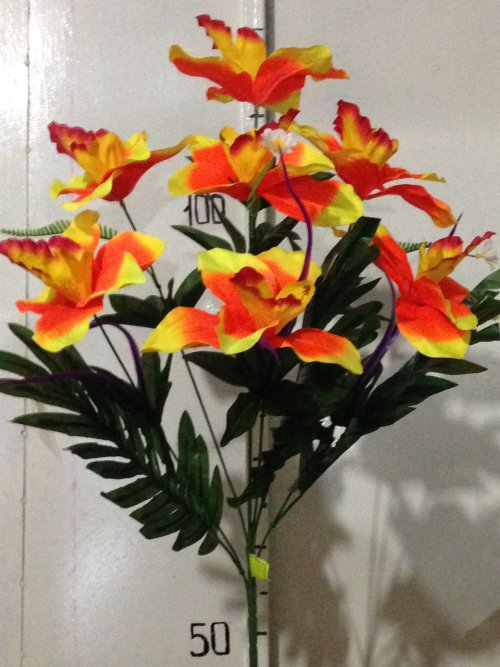 Орхидея с папаратником