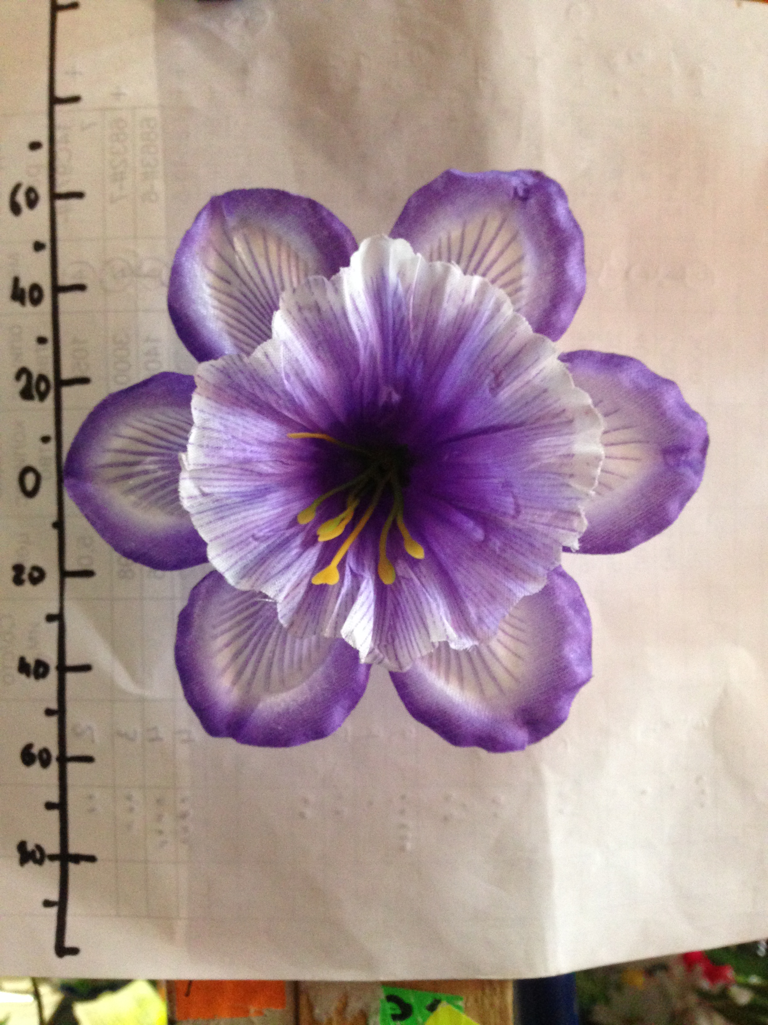 Нарцисс новый атласный Е 10