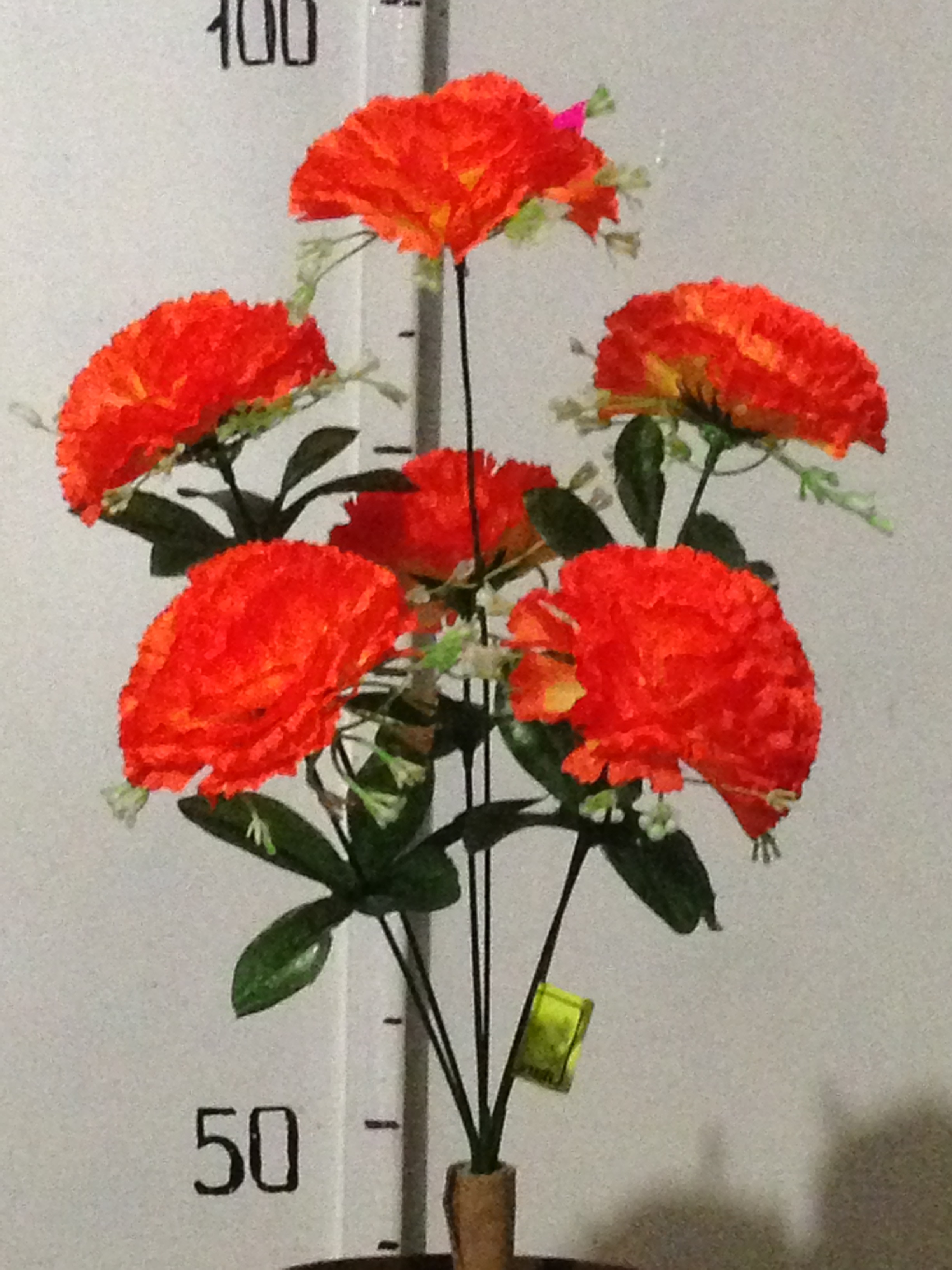 гвоздика с поддоном