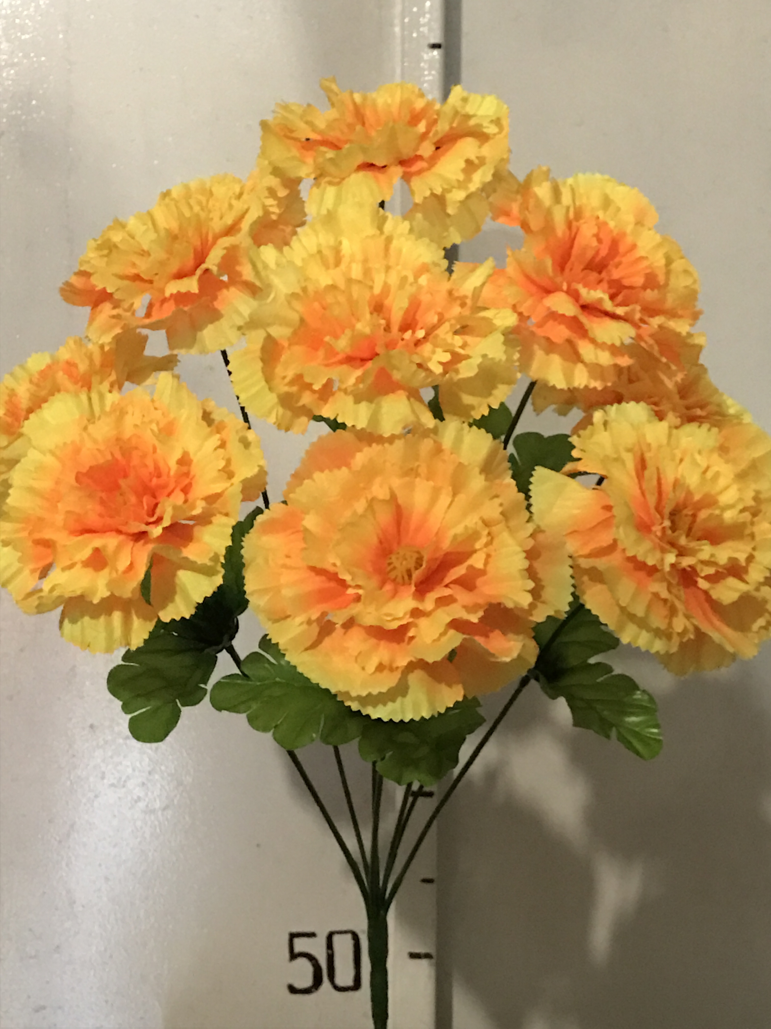 Гвоздика  -9