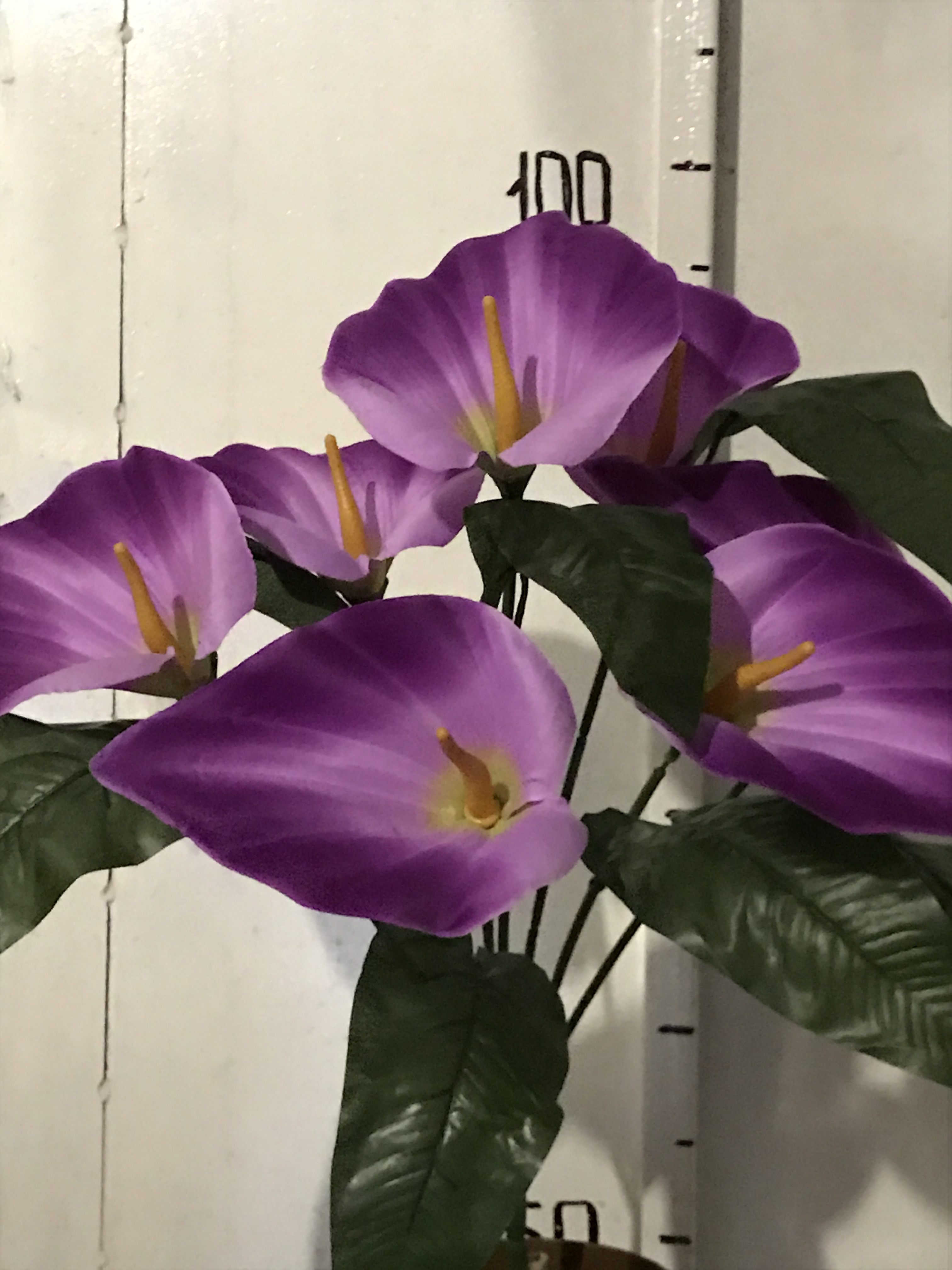 Искусственные цветы оптом Калла бархатная цветная