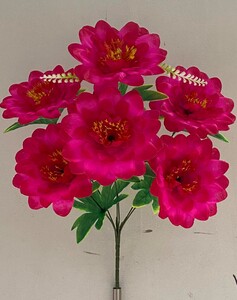 Георгина 6 ка не пресс