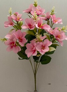 Азалия новая натуральная