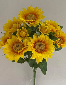 Подсолнух Д-185