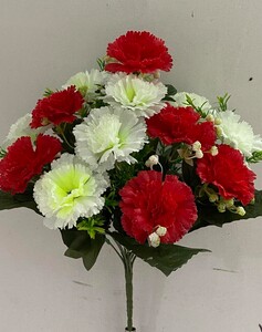 Гвоздика вазон Б+К