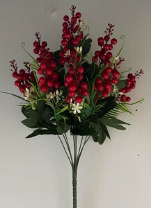 Калина крупна я 10 ка