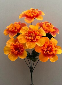 Гербера с серединкой нова