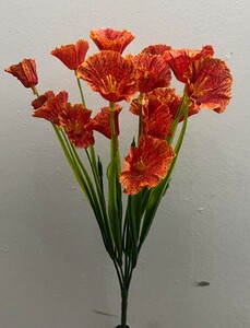 Осока с цветком Петунии