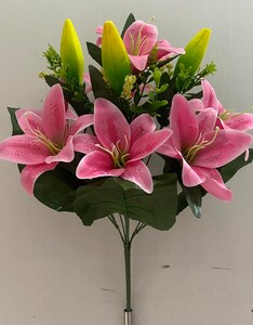 Лилия кольорова