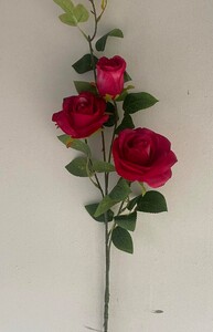 Роза ветка с бутоном