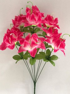 Пивник 9 ка новый