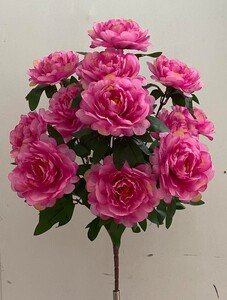 Пион на красной ножке новий