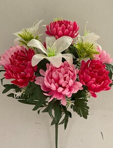 Хризантема Лилия с добавкойV