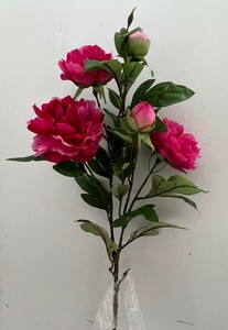 Пион ветка Д-280