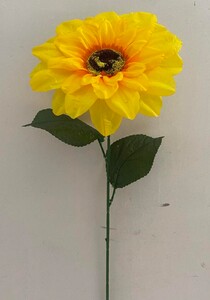 подсолнух ветка