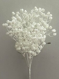 Эвкалипт белий F-278