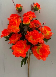 Роза дерево 13 ка