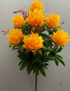 Ананас красная ножка нова G