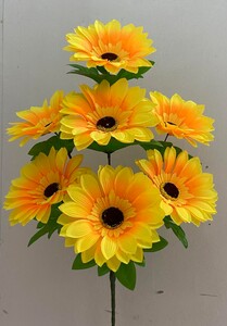 Подсолнух новий