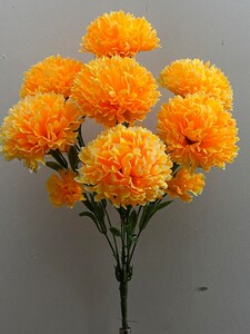 Хризантема с детками нова