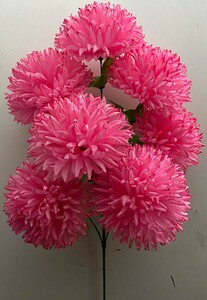 Хризантема Гигант 7 ка