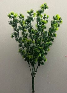 хвойный букет