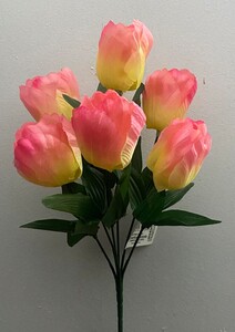 Тюльпан новий О