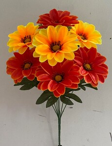 Гербера двухцветная новая V