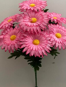 Ромашка 9 ка цветная