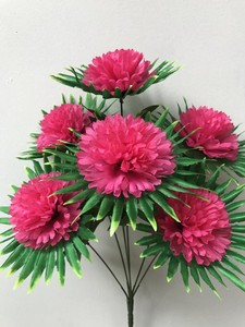 гвоздика водяная новая