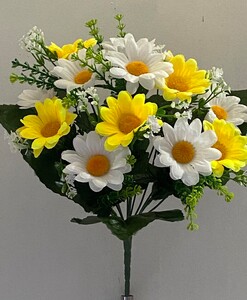 Ромашка вазон белая+жолтая