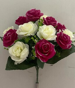 Роза двухцветная с лопухом