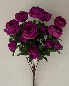 Камелия с детками