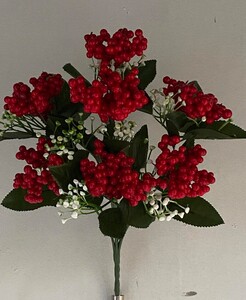 Калина мелка 7 ка