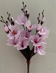 Магнолия кр.ножка нова S-293