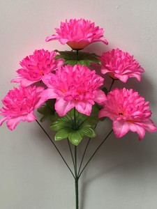 Георгина хризантема 6 ка новая