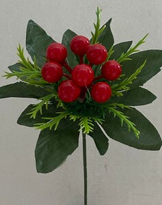 калина красная зал-ка