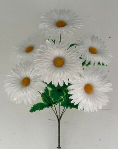 Ромашка 6 ка белая нова