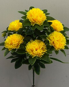 Хризантема медная с листом