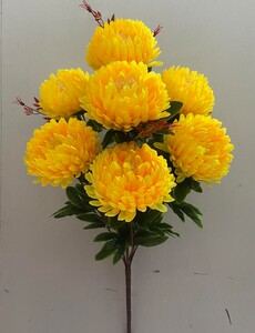 Хризантема натуральная красная ножка