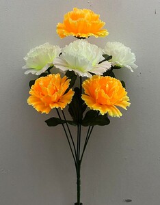 Гвоздика двухцветная новая V