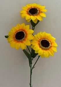 Подсолнух 3 ка ветка