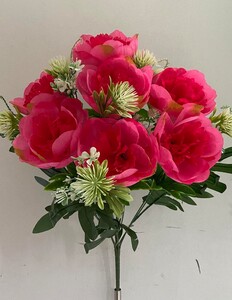 Пион с добавкой V